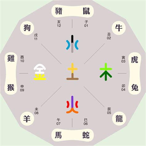 辰的五行|八字十二地支详解——辰